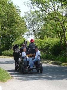 A pleasure drive in Newdigate